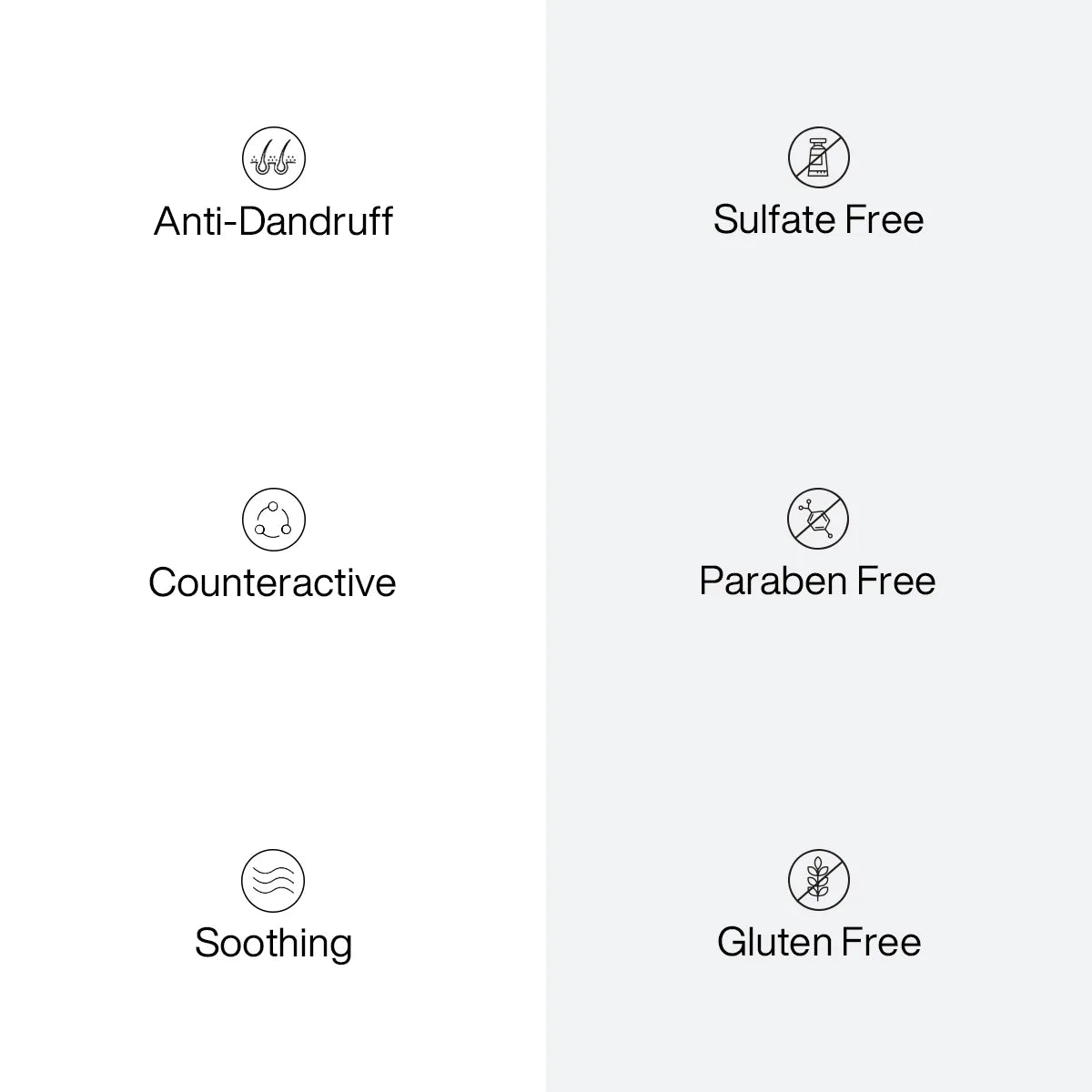 Six benefit icons: Anti-Dandruff, Sulfate Free, Counteractive, Paraben Free, Soothing and Gluten Free