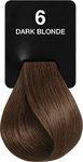 6 DARK BLONDE