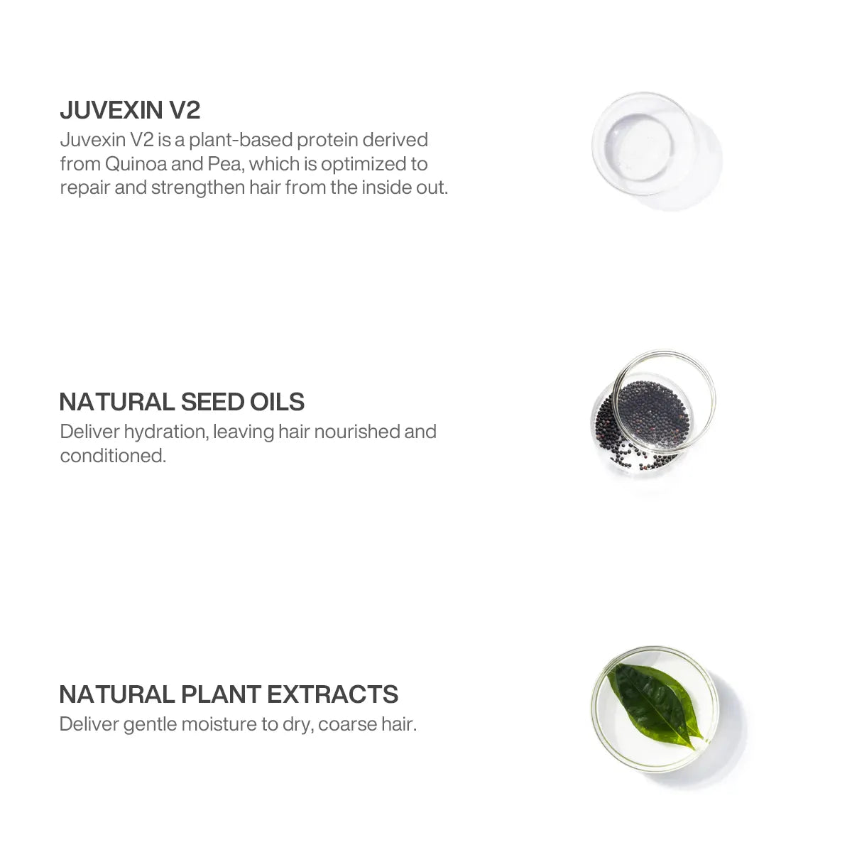 Ingredients panel: Juvexin V2 quinoa and pea protein, natural seed oils and plant extracts shown in petri dishes