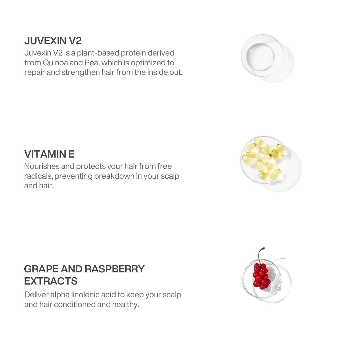 GK Hair Lavender Bombshell Masque ingredients panel: Juvexin V2, Vitamin E capsules, grape and raspberry extracts in dishes