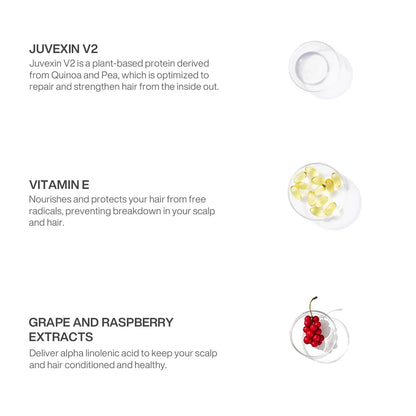GK Hair Lavender Bombshell Masque ingredients panel: Juvexin V2, Vitamin E capsules, grape and raspberry extracts in dishes