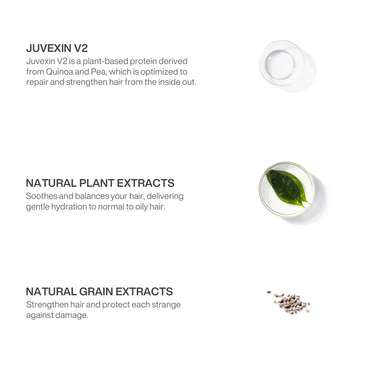GK Hair Leave-In Conditioner Cream ingredients panel: Juvexin V2, natural plant extracts on a leaf and natural grain extracts
