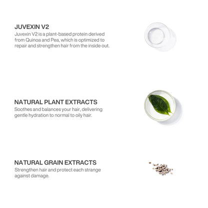 GK Hair Leave-In Conditioner Cream ingredients panel: Juvexin V2, natural plant extracts on a leaf and natural grain extracts