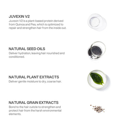 Ingredient of Moisturizing Shampoo and Conditioner containing: Juvexin V2, Natural Seed Oils, Natural Plant Extracts and Natural Grain Extracts with white background