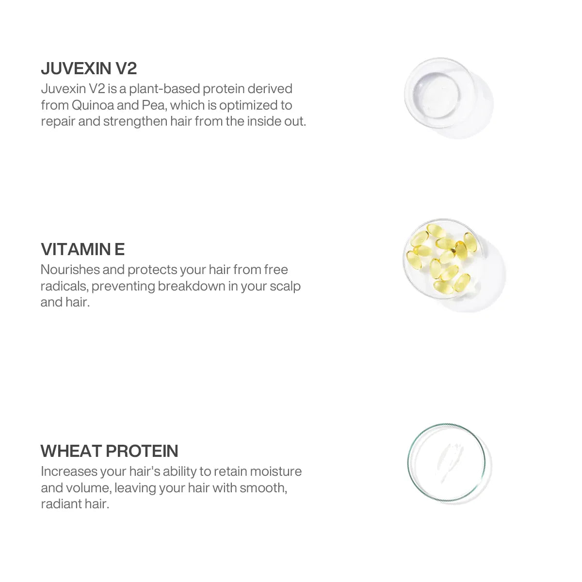 Ingredients panel for GK Hair Red Red Bombshell Masque: Juvexin V2 quinoa and pea protein, Vitamin E and Wheat Protein